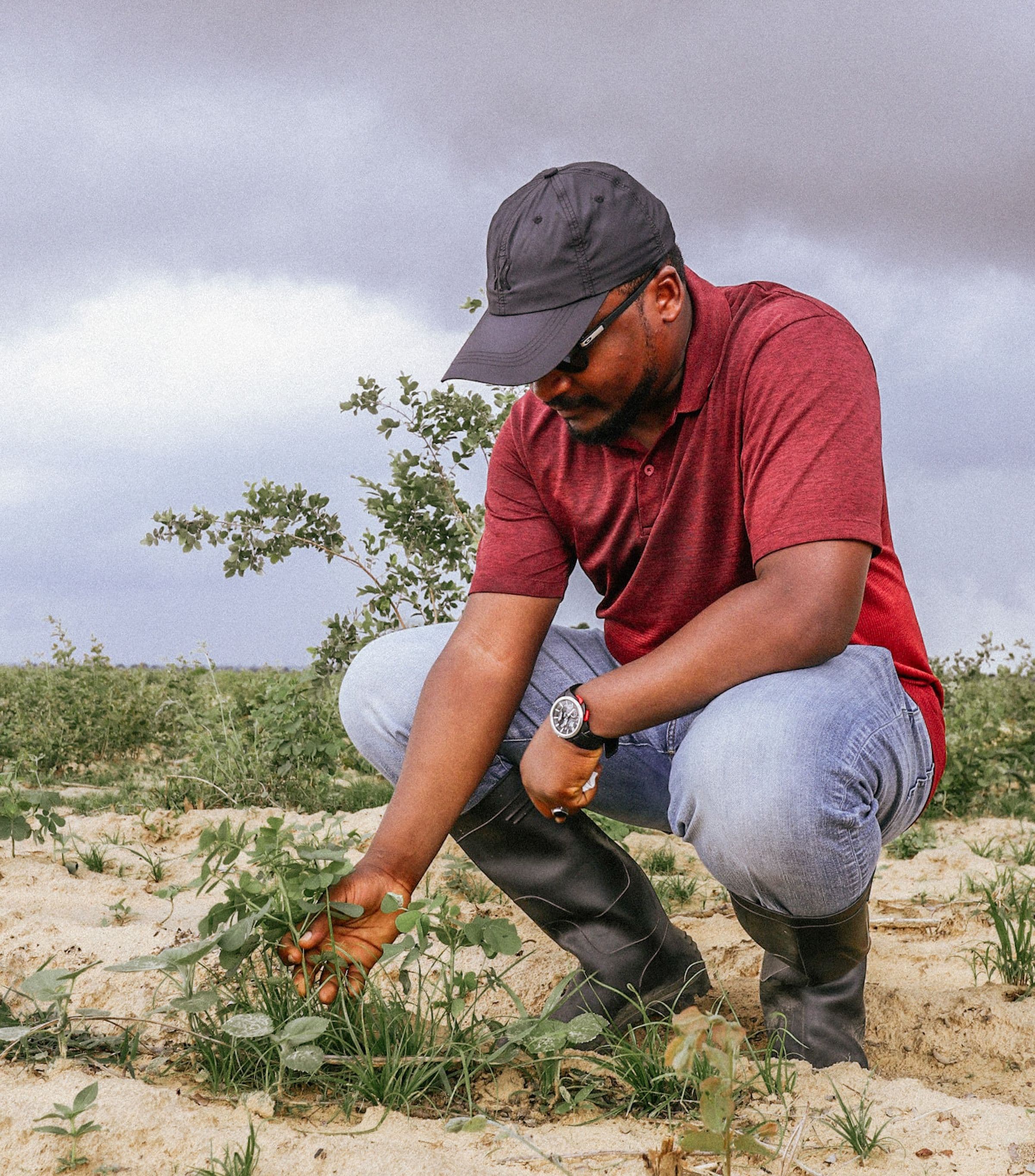 Oije Farms Nig. Ltd brand